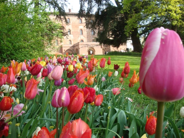 castello-di-pralormo_tulipani